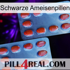 Black Ant Pills 05
